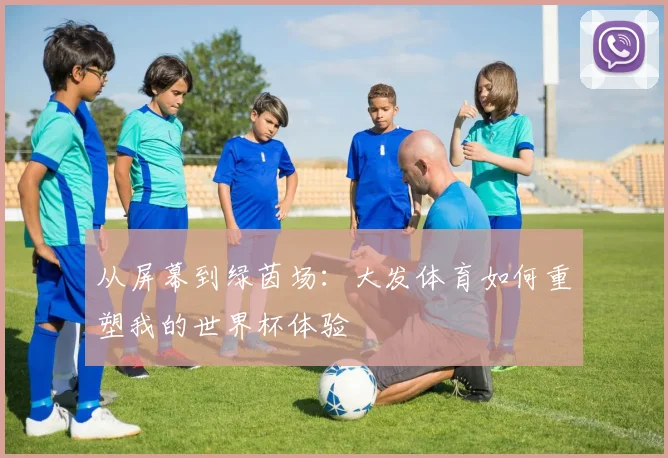 从屏幕到绿茵场：大发体育如何重塑我的世界杯体验