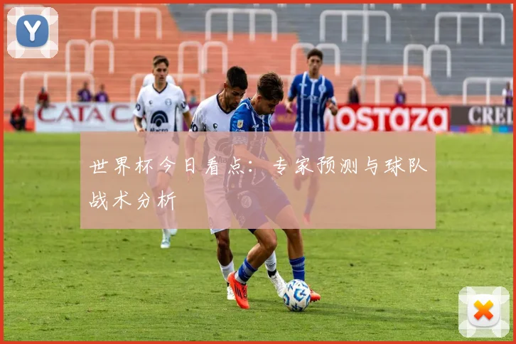 世界杯今日看点：专家预测与球队战术分析